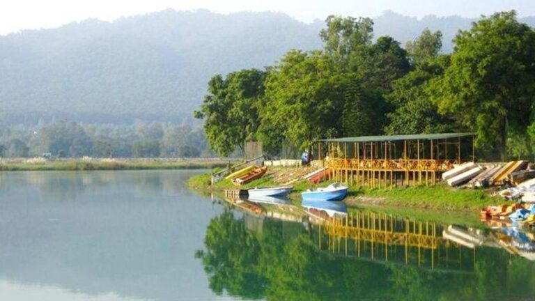 Assan Barrage Bird Sanctuary Uttarakhand