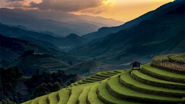 Ranikhet Uttarakhand