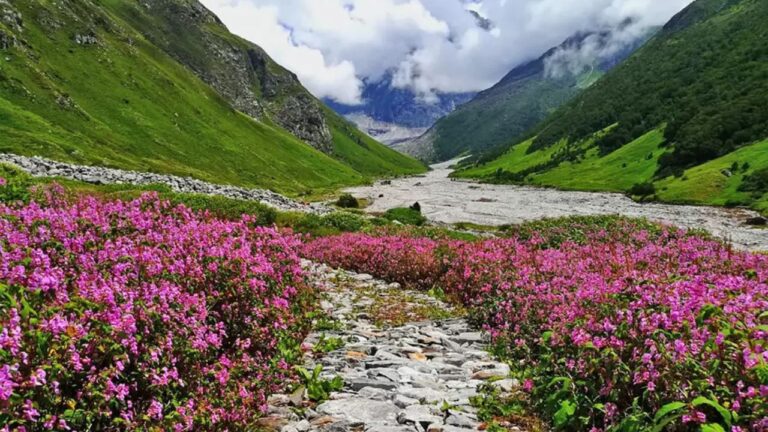 Valley Of Flowers Uttarakhand