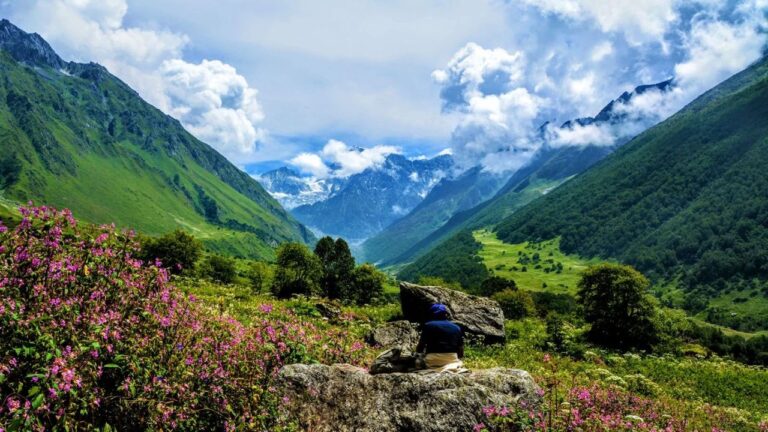 Valley of Flowers Trek Guide